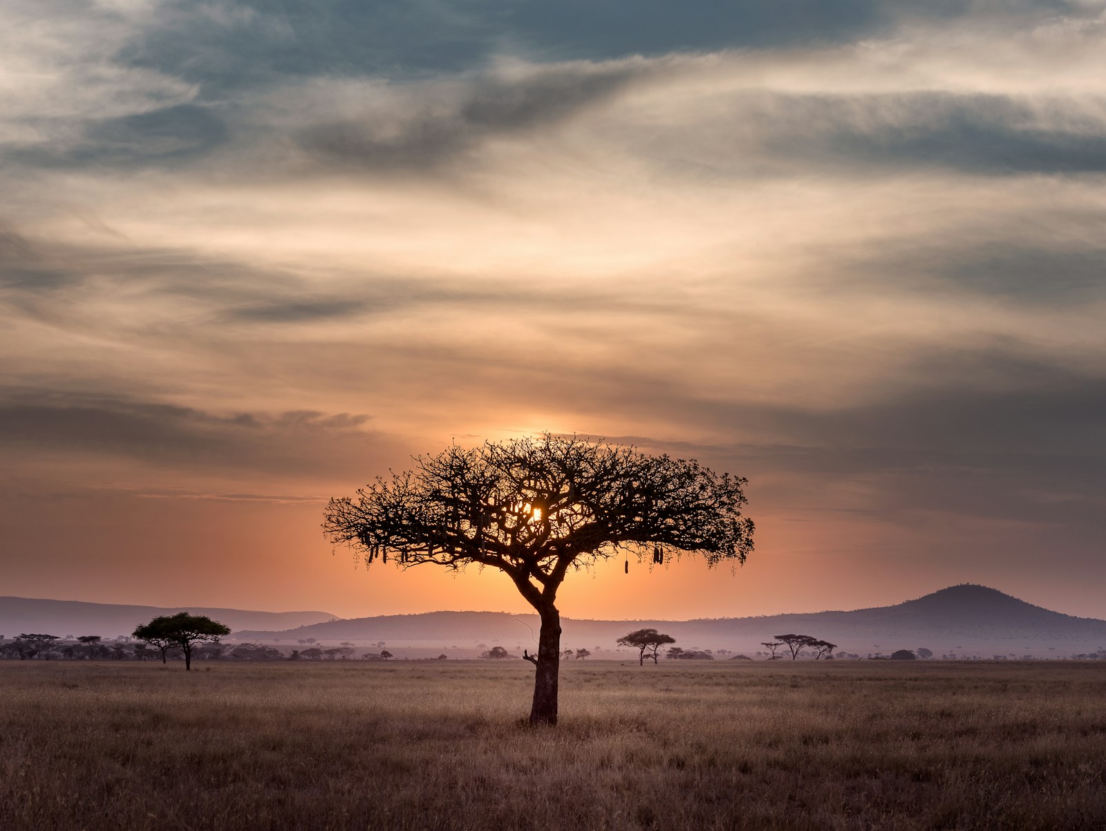 Open savannah landscape, travel inspiration